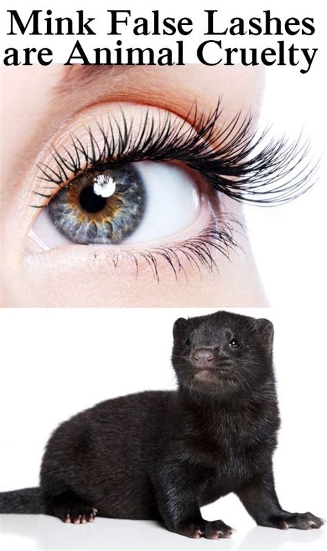 are fake lashes made out of ferrets